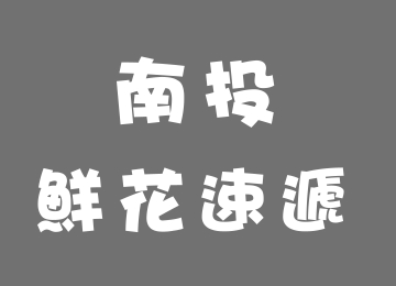 南投花店