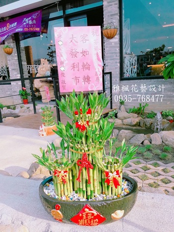 招財進寶開運竹盆栽送虎尾推薦雅楓花藝0935768477虎尾花店