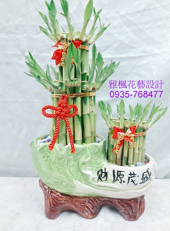 財源茂盛開運竹盆栽開幕推薦0935768477草屯花店