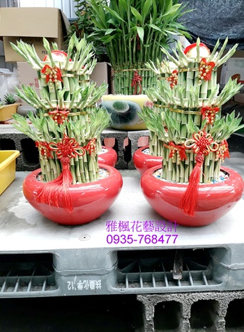 一路火紅_富貴竹&開運竹送彰化市推薦雅楓花店