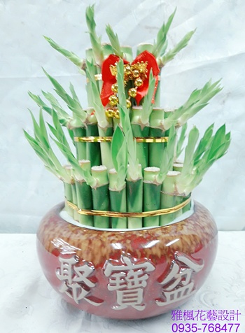 二盆以上提供出貨&開運竹喜慶盆栽送員林市區開幕