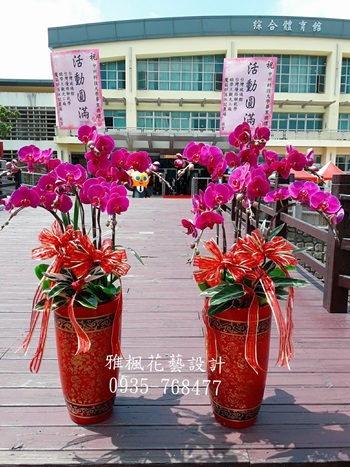 單次訂購2盆以上(含)另有優惠，特A等級紅色蘭花盆栽大辣椒_適合各種場合，斗六花店蘭花外送服務0935-768477