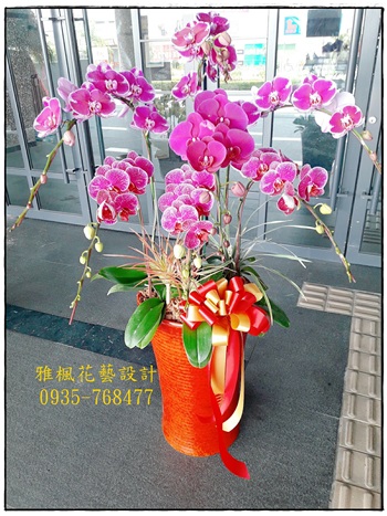顏色以當季具特色花卉為主，組合蘭花盆栽(會議_新居_榮升_喬遷_開幕_結婚_喜慶_探病..都適合)
