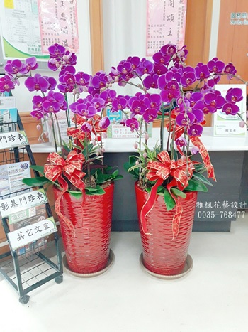 紅不讓!!高質感蝴蝶蘭花禮_雅楓花藝設計1996年創立28周年實體店面2024年員林花店代客送花服務