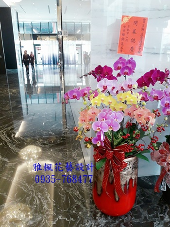 亮麗繽紛組合蝴蝶蘭盆栽_南投花店送會長交接_員林花店送朋友開店蘭花盆栽