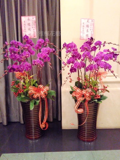紅色蘭花一盆6500元 ，二盆13000元，本月特價二盆12000元起雲林花店蘭花盆栽外送