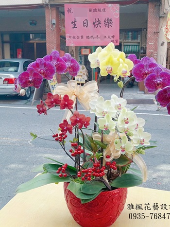 多色組合蘭花盆栽(開幕，榮升喜慶，結婚，會議，新居，探病)都適合，雅楓花藝設計1996年創立27周年實體店面2023年彰化花店代客送花服務