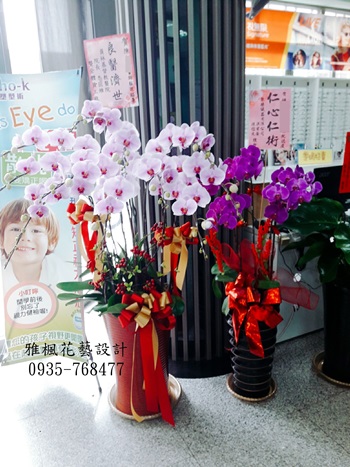 11株清秀粉蝴蝶蘭花禮(萬巒系列)竹山霧峰斗南鹿港花店專送0935-768477