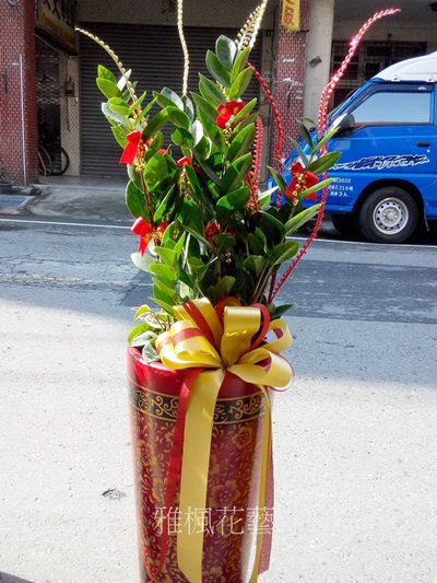 批發價4盆以上提供出貨_田尾花店雅楓花藝