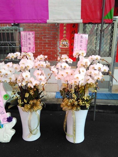 追思蘭花一盆5500元 二盆11000元，本月特價二盆10000元起，員林花店喪事蘭花盆栽