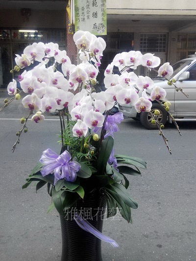 最好的祝福!!高雅白花紅心蝴蝶蘭盆栽追思場合_田尾花店外送服務