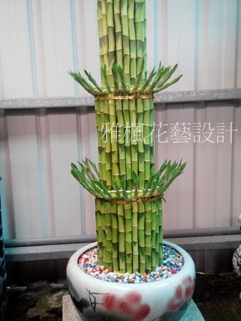 大型高三層開運竹盆栽送鹿港推薦雅楓鹿港花店