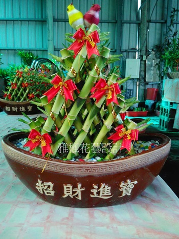 金元寶&招財進寶開運竹盆栽_彰化花店0920768477雅楓花藝