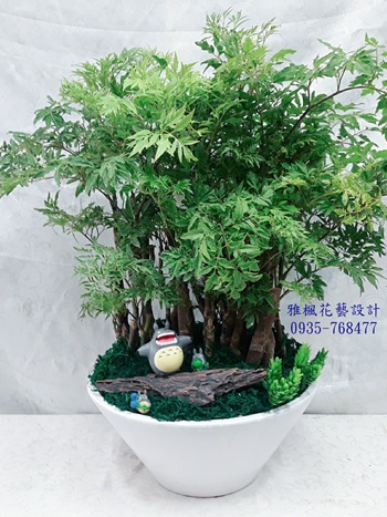 富貴樹&川七樹桌上型盆栽(適合開幕_新居_展覽_喬遷_榮升...喜慶)雅楓花店彰化花店