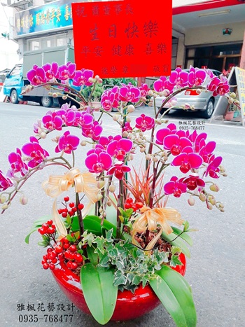 七株滿天紅系列桌上型盆栽_員林斗六草屯台中花店新車發表會蘭花盆栽