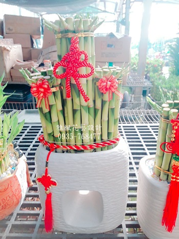 現代感幸運竹盆栽_滿滿祝福&南投花店開幕竹子盆栽外送