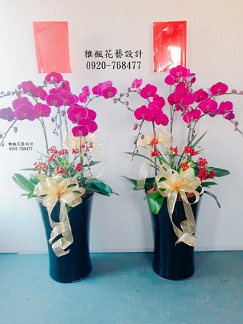 大大的祝福_榮升榮調蘭花盆栽_雅楓花藝設計花店0920768477外送