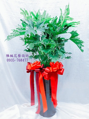 立地植栽開店賀禮推薦0920768477南投花店