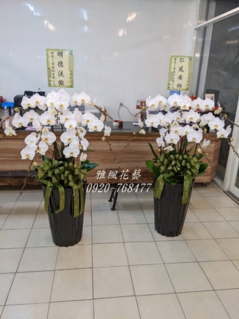 致哀白色蘭花台中花店雅楓花藝