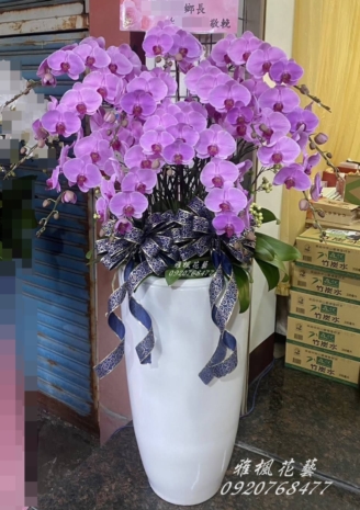 一盆10000元&二盆18000元_柔粉色系蘭花盆栽雲林市區花店0920768477雅楓花店