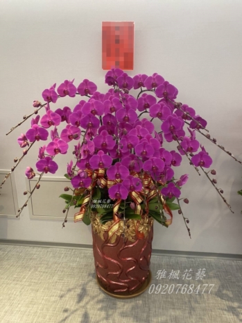 記者會展覽會圓滿成功_沙鹿區花店外送開幕蘭花盆栽