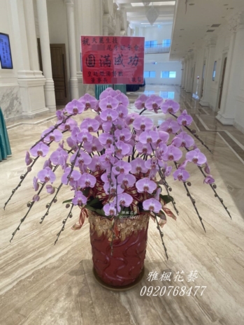 尾牙圓滿成功蘭花盆栽_台中市區花店台中西屯區花店推薦送禮蘭花
