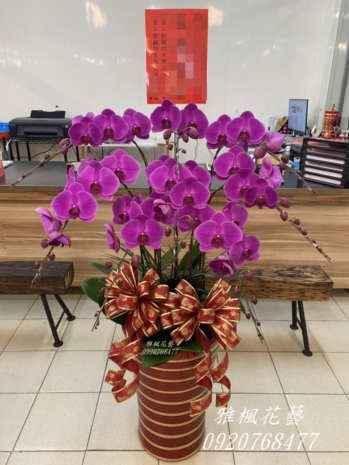 演藝廳表演圓滿成功祝賀蘭花盆栽_南投市花店