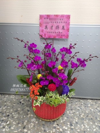 桌上型蘭花盆栽祝賀朋友榮陞主管_二水花店
