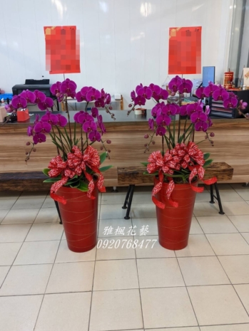 紅色系一盆3850元，二盆6800元起，榮陞開幕蘭花盆栽雅楓花藝南投花店