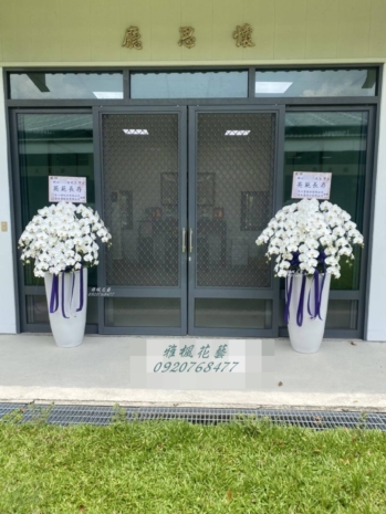 水嫩白一盆9000元&二盆16000元_高質感白色系蘭花盆栽台中市區花店0935768477雅楓花店