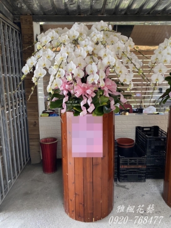 追思白色蘭花盆栽_斗六花店喪禮蘭花
