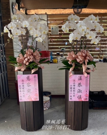 追思蘭花盆栽雅楓花店提供外送服務_和美花店