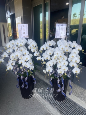 1盆6300元起_特價2盆11500元起_社頭鄉立生命禮儀管理所