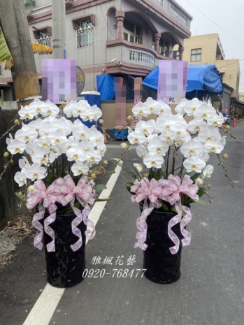 二盆特價8500元&名間鄉殯儀館蘭花盆栽外送04-8352299名間花店