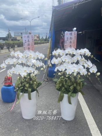 一盆7500元_特價二盆13500元起__和美追思園生命會館