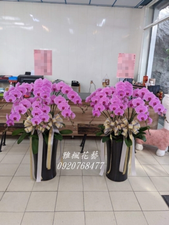 一盆4300元起_二盆特價8000元起_北斗殯儀館送花