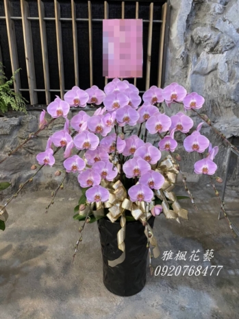 1盆6950元起_特價2盆12500斗六市八德生命園區送花籃花環
