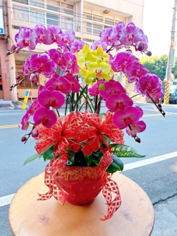 一盆5200元_二盆9500元_西屯花店