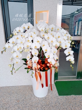 台中蘭花