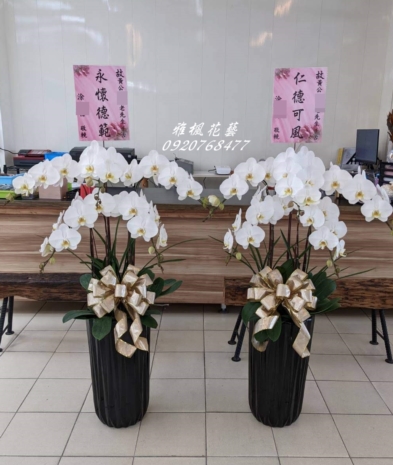 一盆3500元起_最低特價二盆6750元起、南投草屯殯儀館送蘭花盆栽