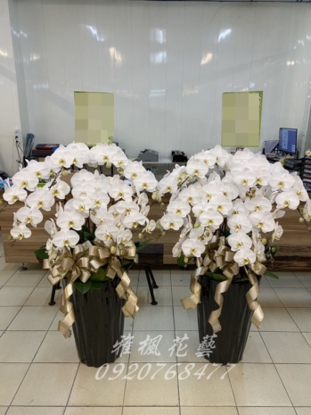 一盆特價:6300元起_特價二盆11500元起_勝世間會館送花